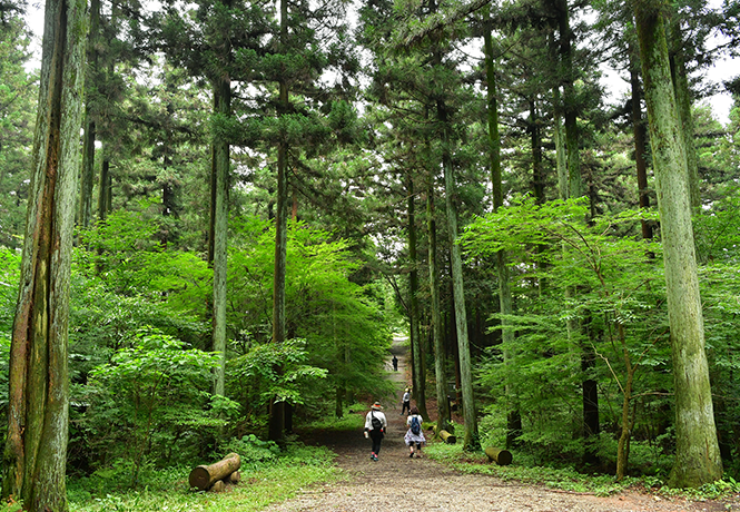 Living as a staff at Jangseong Glamping Site