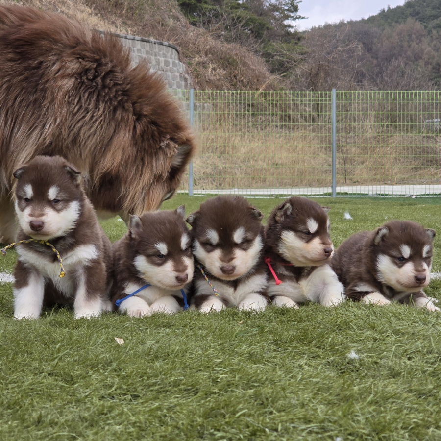 프로그램 이미지 썸네일 2