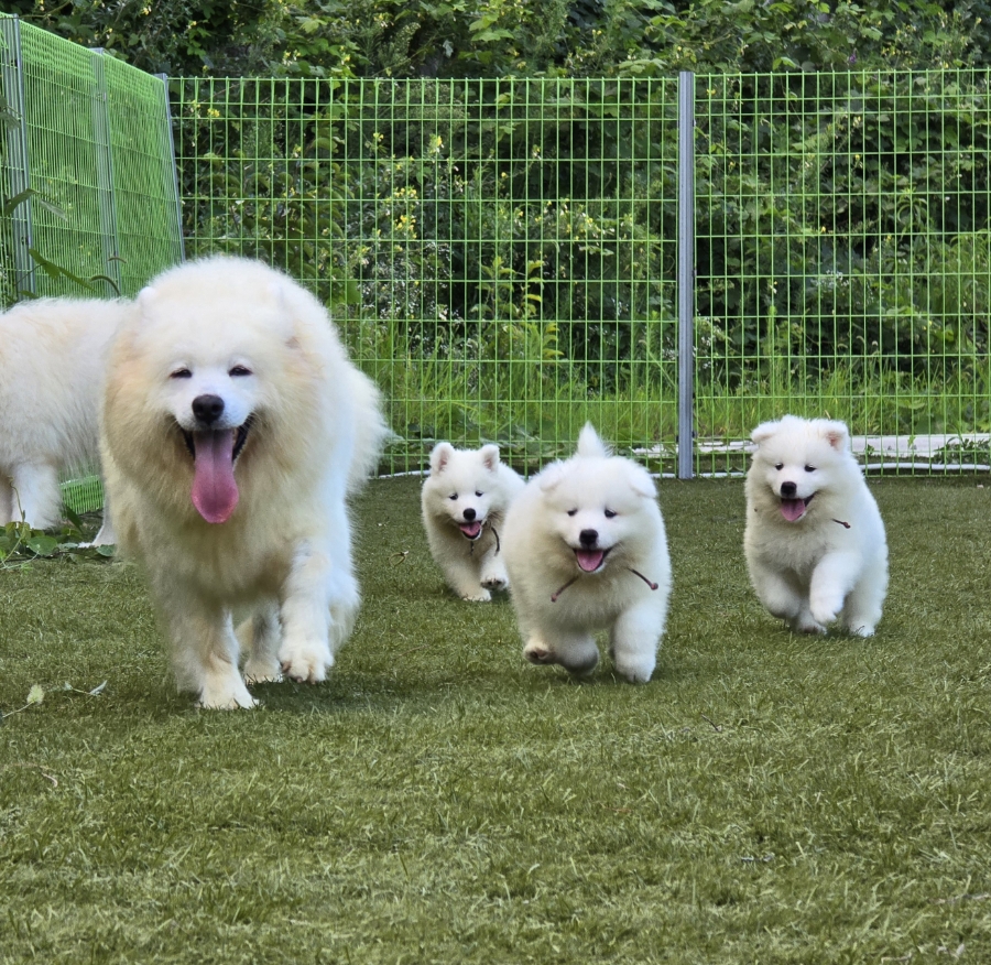 프로그램 이미지 썸네일 4