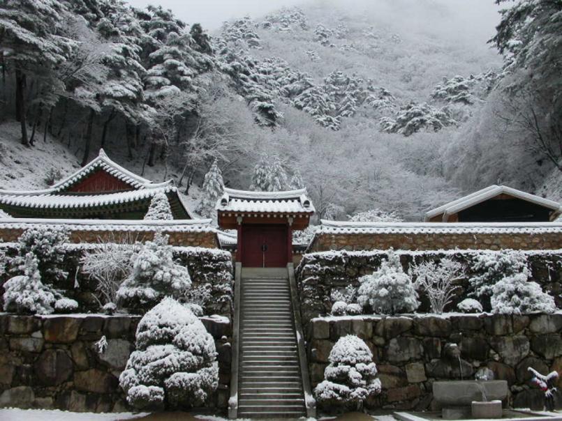 산 속에서 쉬고 수행하며 마음이 편안해지는 시간, 봉화 템플스테이