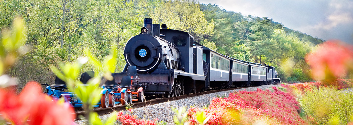 프로그램 이미지 썸네일 4