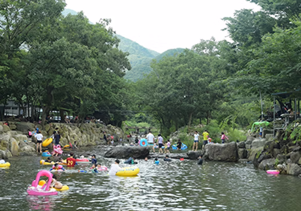 프로그램 이미지 썸네일 3