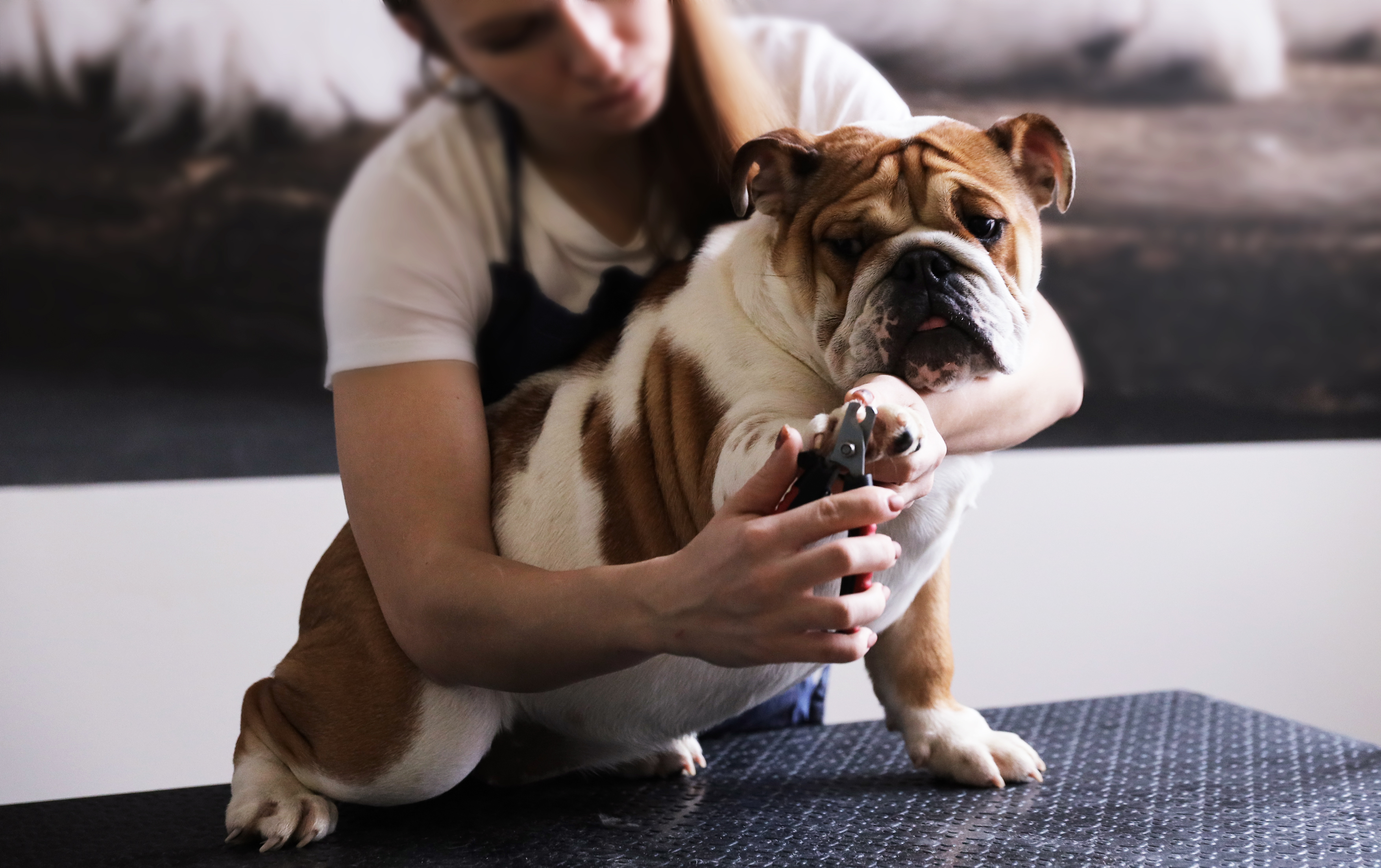 프로그램 이미지 썸네일 2