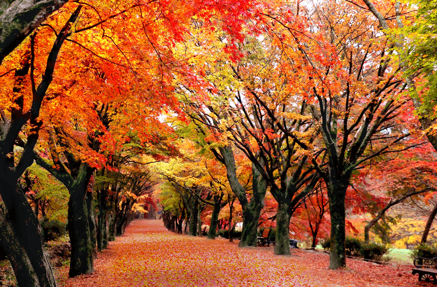 프로그램 이미지 썸네일 4