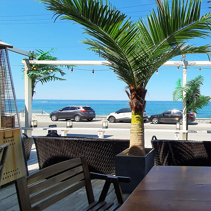 프로그램 이미지 썸네일 2