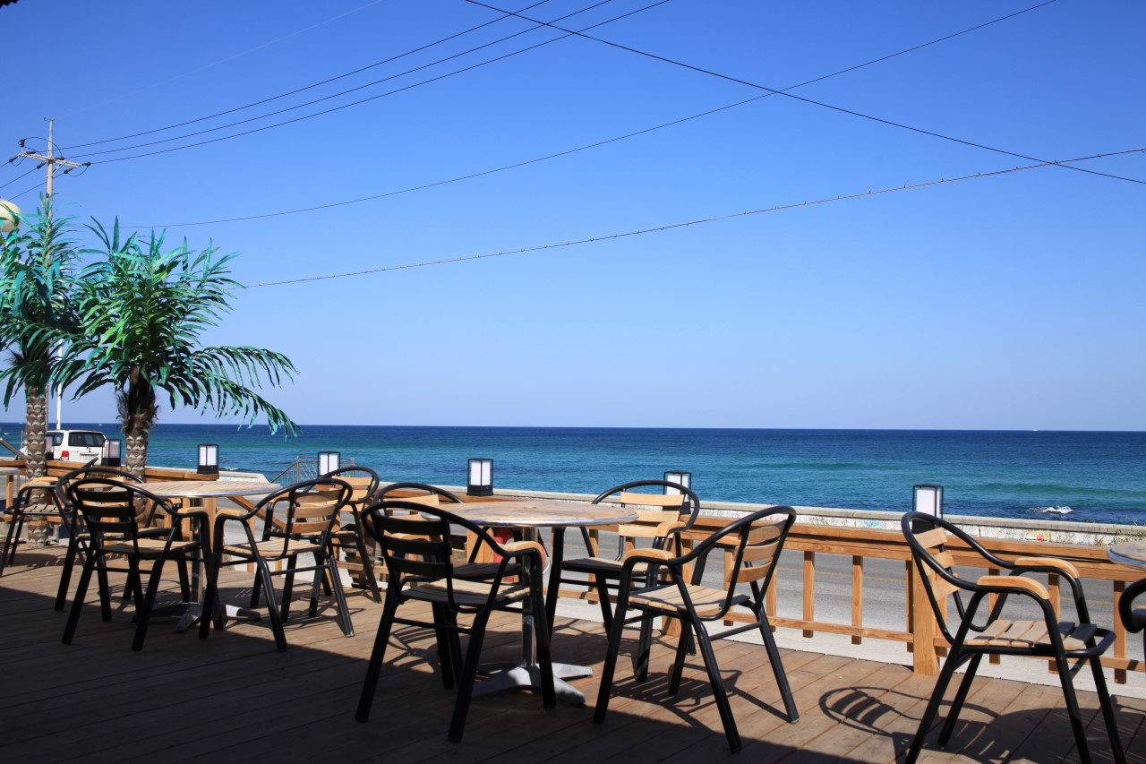 프로그램 이미지 썸네일 3