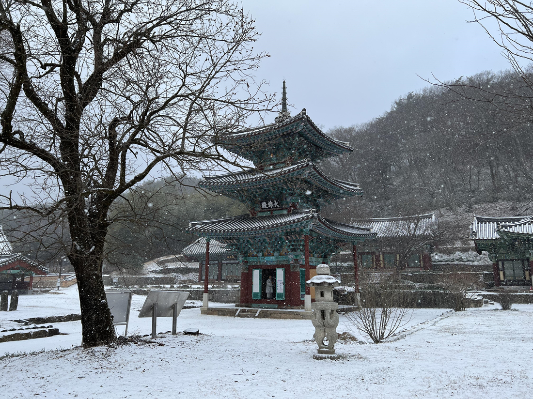 전남 화순 쌍봉사에서 행복한 템플스테이!
