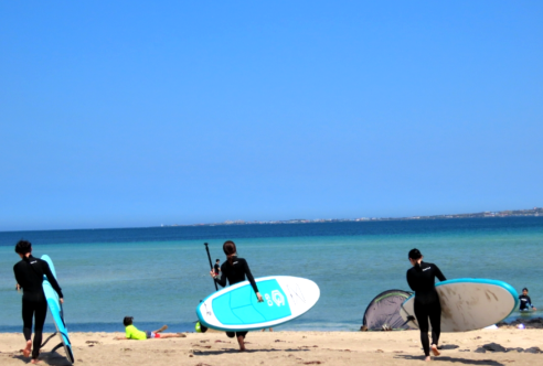 프로그램 이미지 썸네일 4